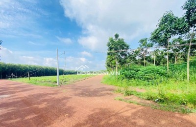 CẦN TIỀN BÁN GẤP 1012M2 ĐẤT, A/C THIỆN CHÍ THÌ ĐI XEM TRÁNH LÀM MẤT THỜI GIAN HAI BÊN. GIÁ 170TR